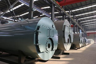 江蘇鍋爐廠 淮安1噸燃氣鍋爐 淮安1噸燃氣蒸汽鍋爐價格圖片 高清大圖 谷瀑環保